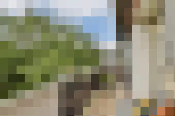 Julianaplantsoen 61 Diemen thumbnail 13