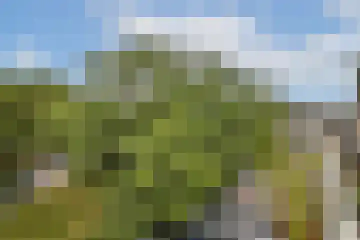 Julianaplantsoen 61 Diemen thumbnail 15