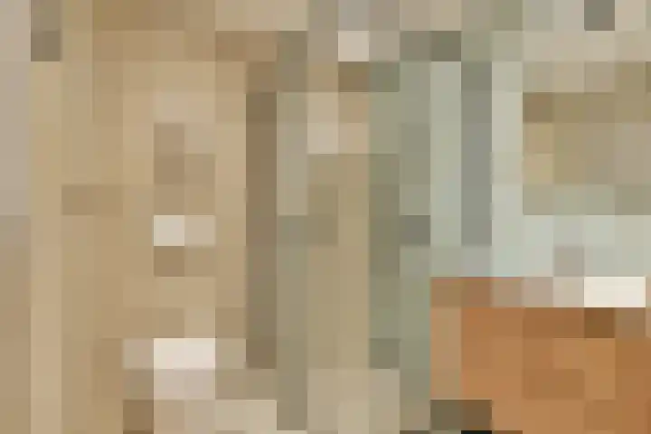 Julianaplantsoen 61 Diemen thumbnail 19