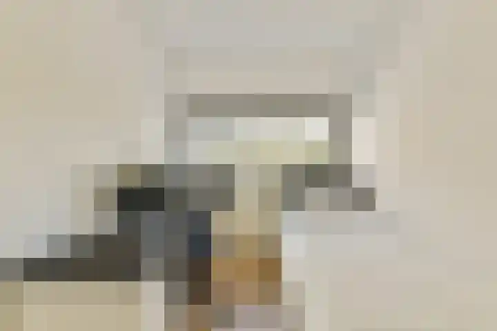 Julianaplantsoen 61 Diemen thumbnail 23