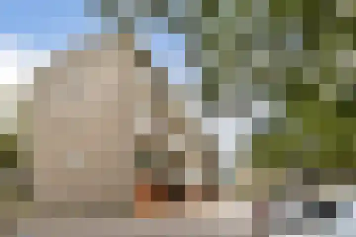 Julianaplantsoen 61 Diemen thumbnail 28