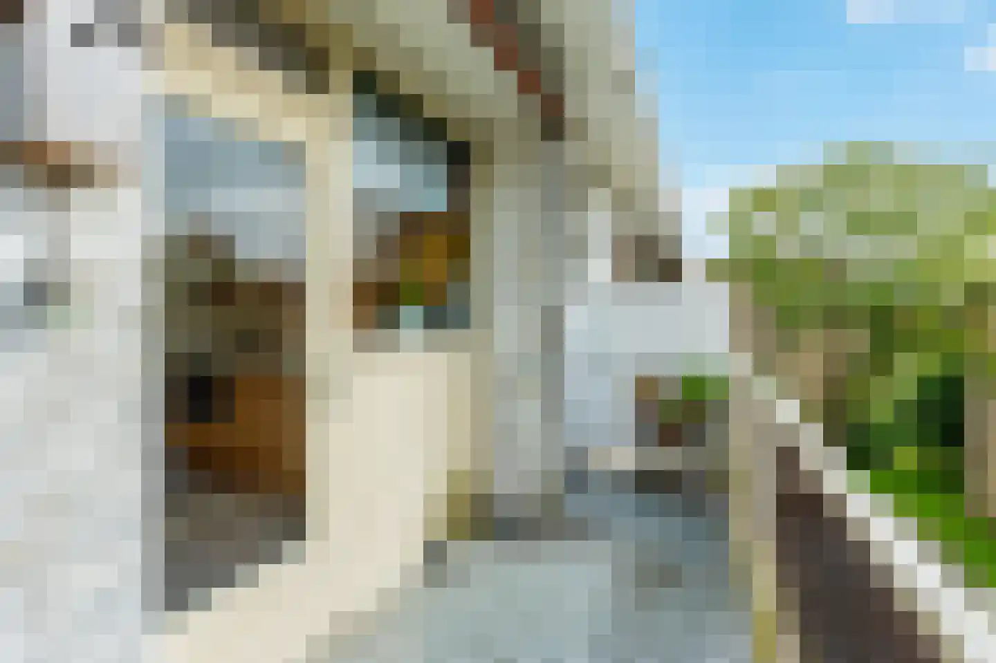 Julianaplantsoen 73 Diemen thumbnail 17