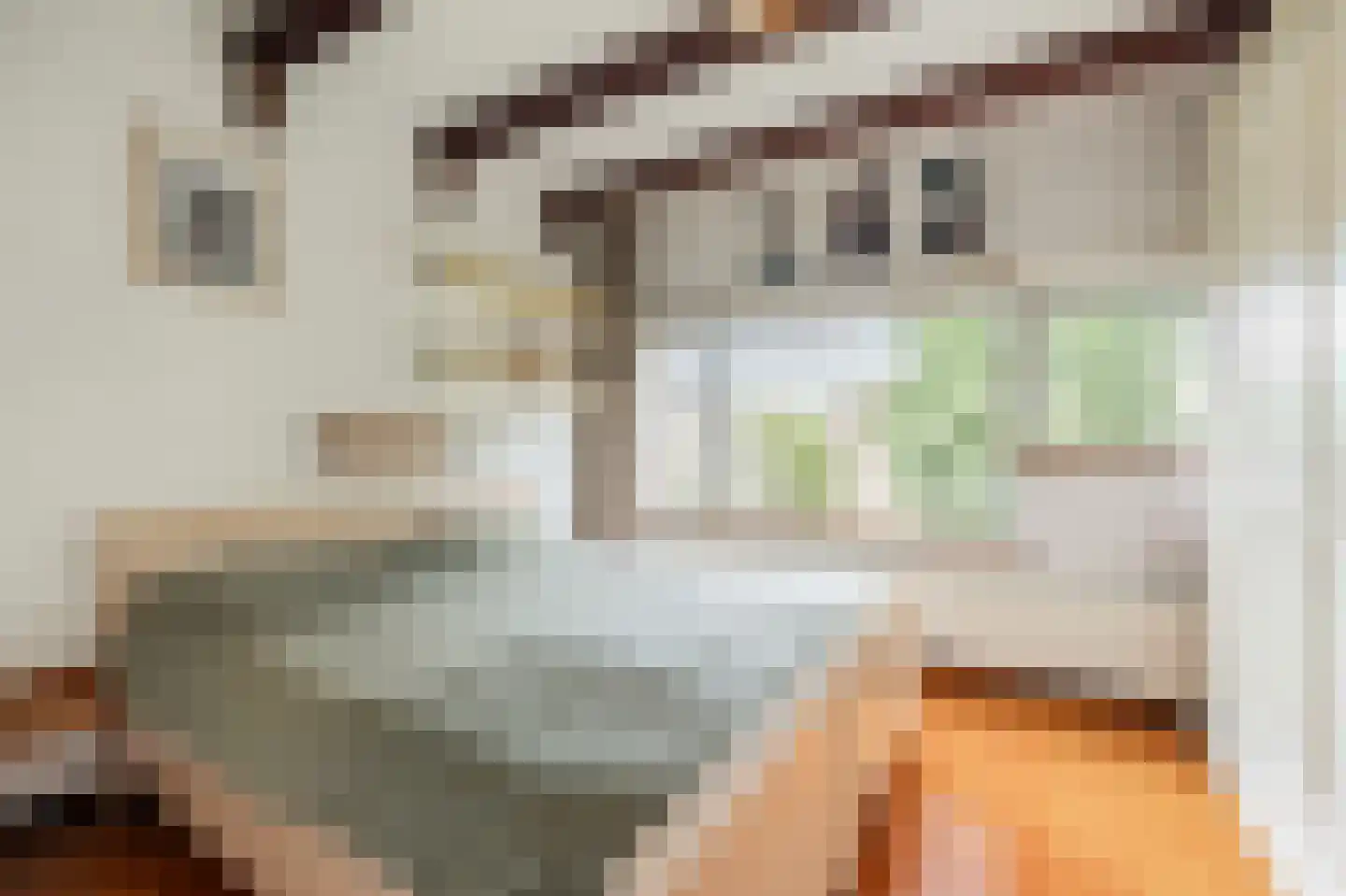 Julianaplantsoen 73 Diemen thumbnail 20