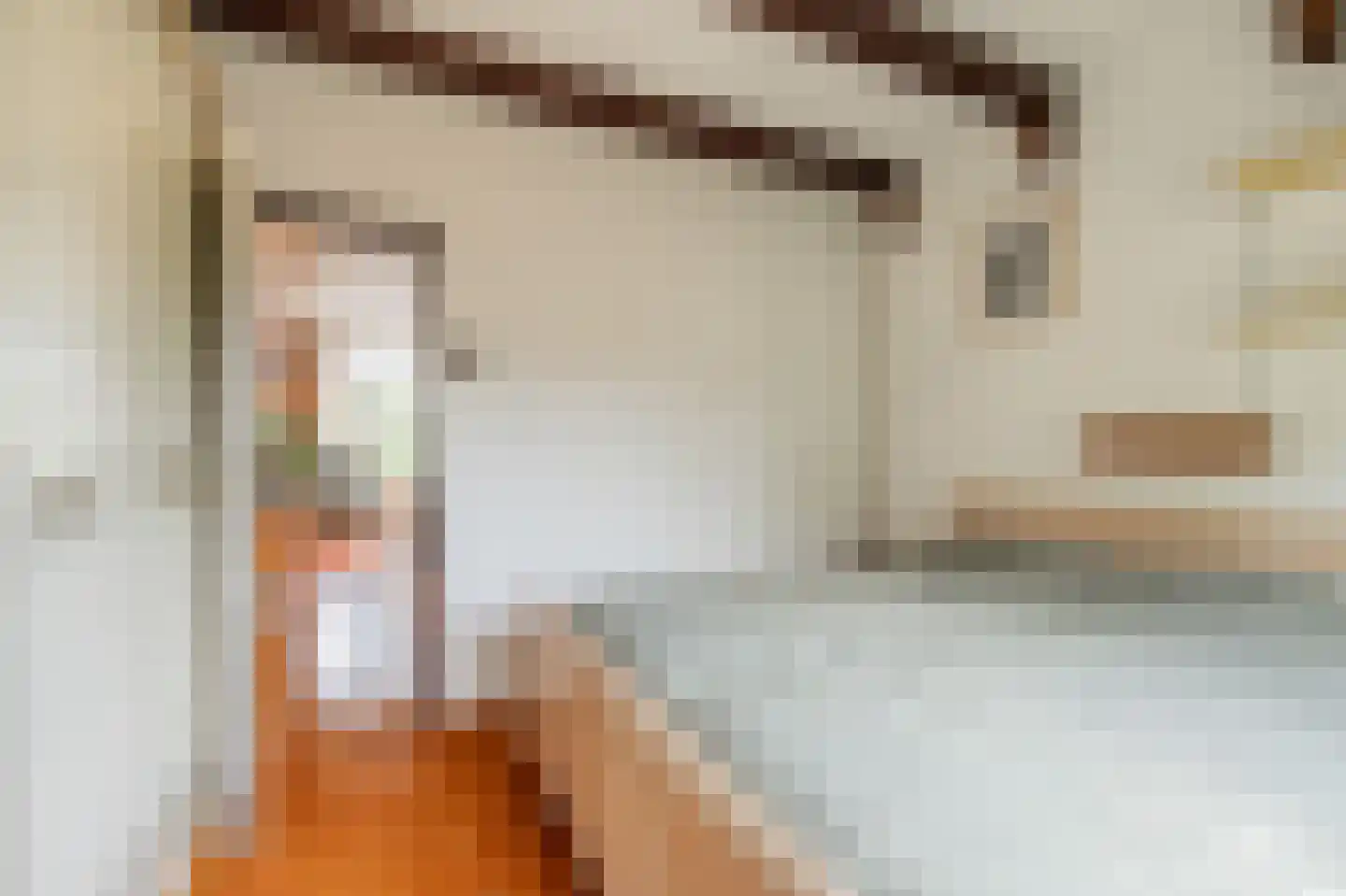 Julianaplantsoen 73 Diemen thumbnail 22