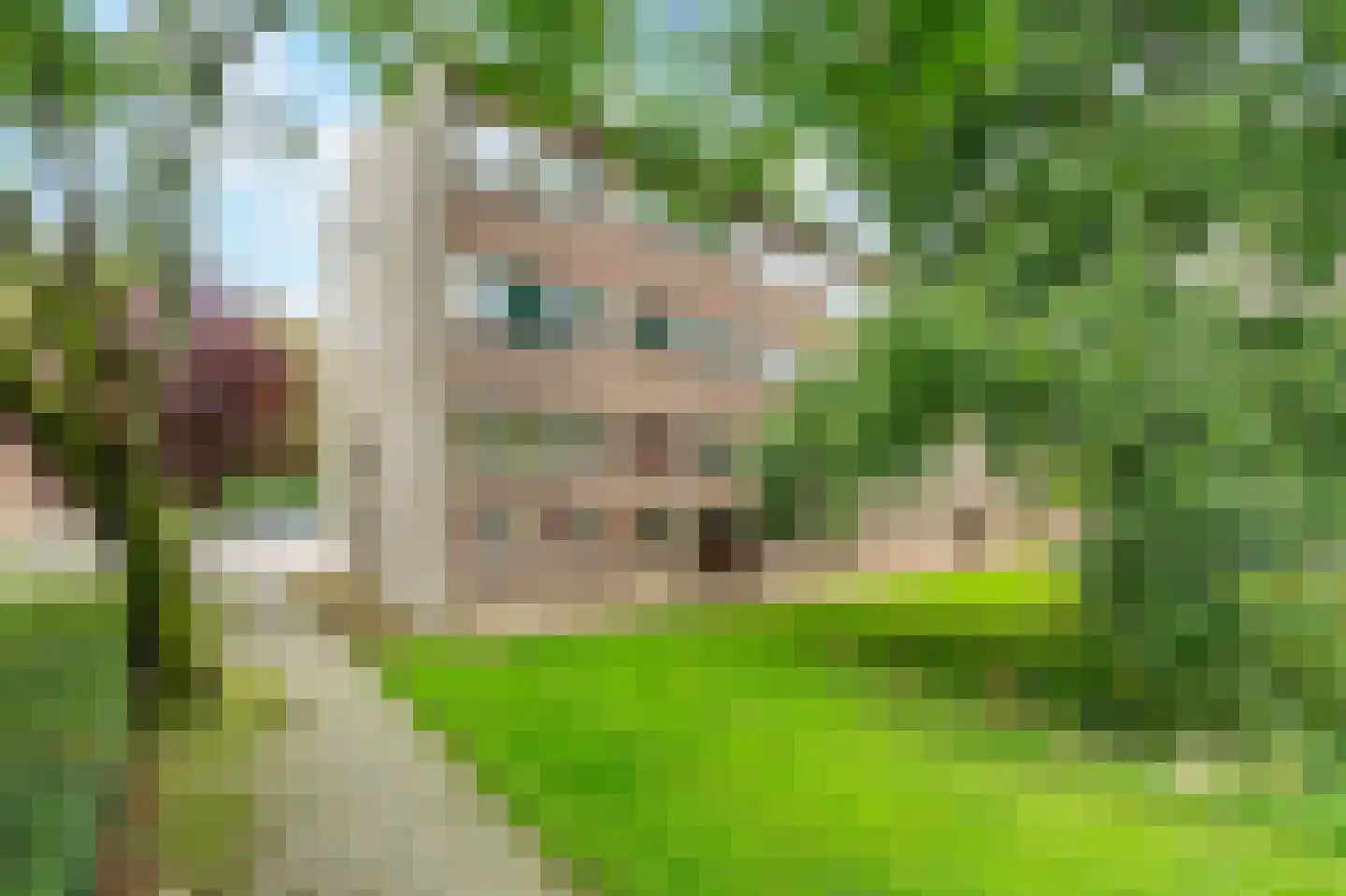 Julianaplantsoen 73 Diemen thumbnail 34