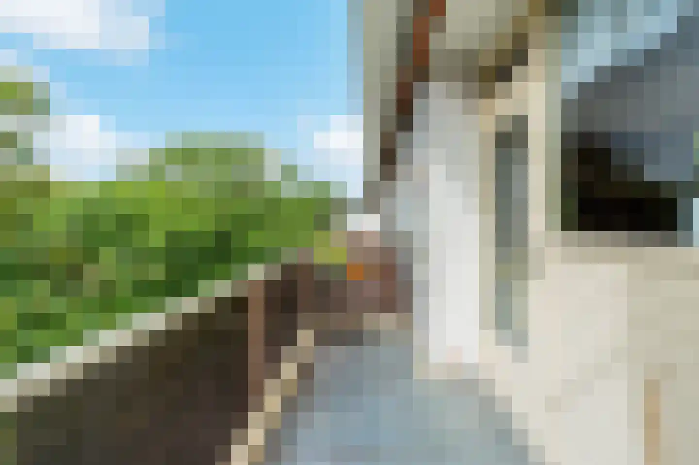 Julianaplantsoen 73 Diemen thumbnail 5