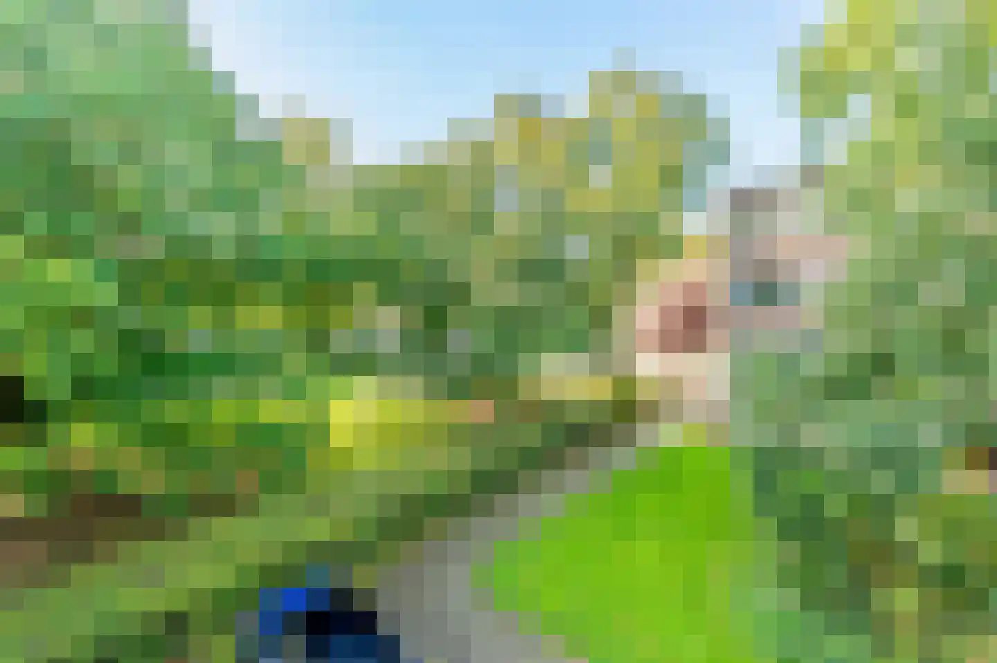 Julianaplantsoen 83 Diemen thumbnail 33