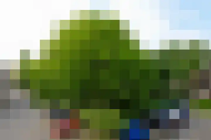 Julianaplantsoen 95 Diemen thumbnail 10