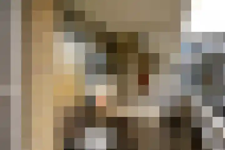 Julianaplantsoen 95 Diemen thumbnail 11