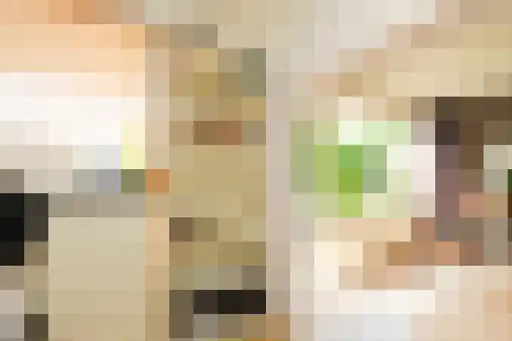 Julianaplantsoen 95 Diemen thumbnail 13