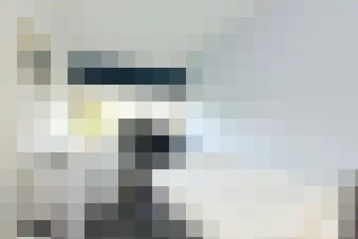 Julianaplantsoen 95 Diemen thumbnail 17