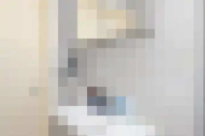 Julianaplantsoen 95 Diemen thumbnail 19