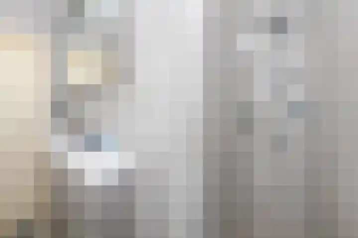 Julianaplantsoen 95 Diemen thumbnail 20