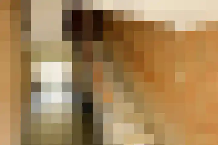 Julianaplantsoen 95 Diemen thumbnail 23