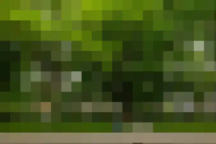 Julianaplantsoen 95 Diemen thumbnail 24