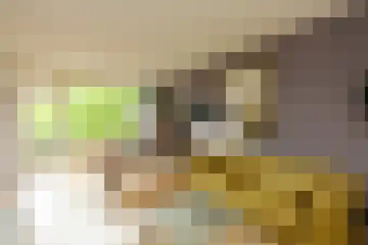 Julianaplantsoen 95 Diemen thumbnail 4