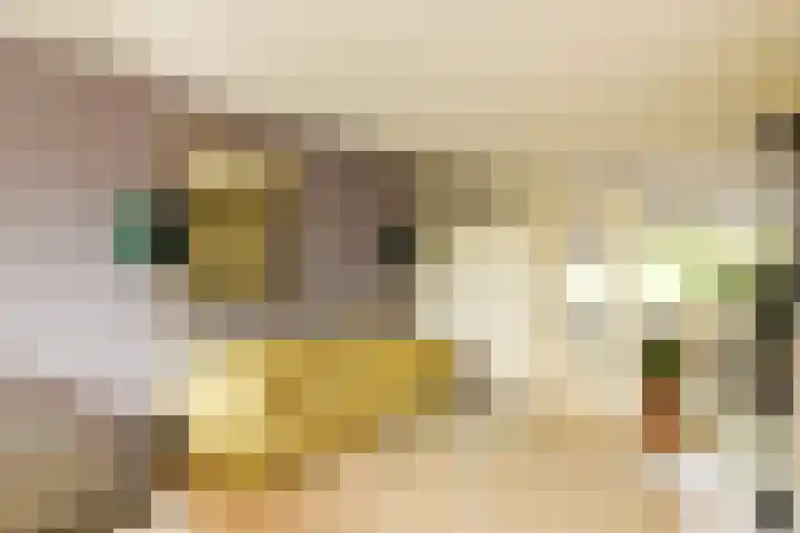 Julianaplantsoen 95 Diemen thumbnail 5