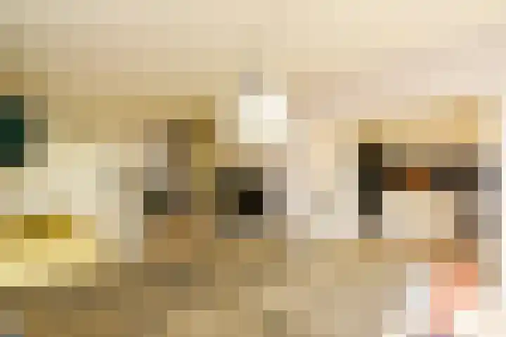 Julianaplantsoen 95 Diemen thumbnail 7