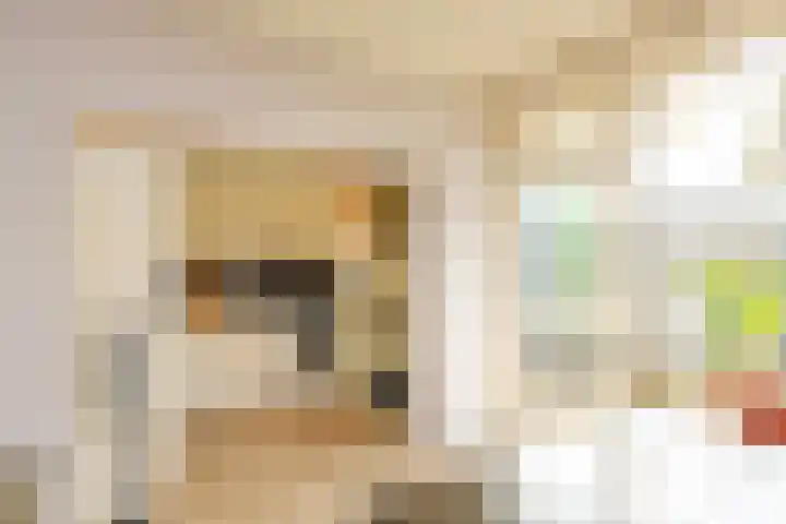 Julianaplantsoen 95 Diemen thumbnail 8