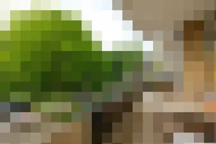 Julianaplantsoen 95 Diemen thumbnail 9