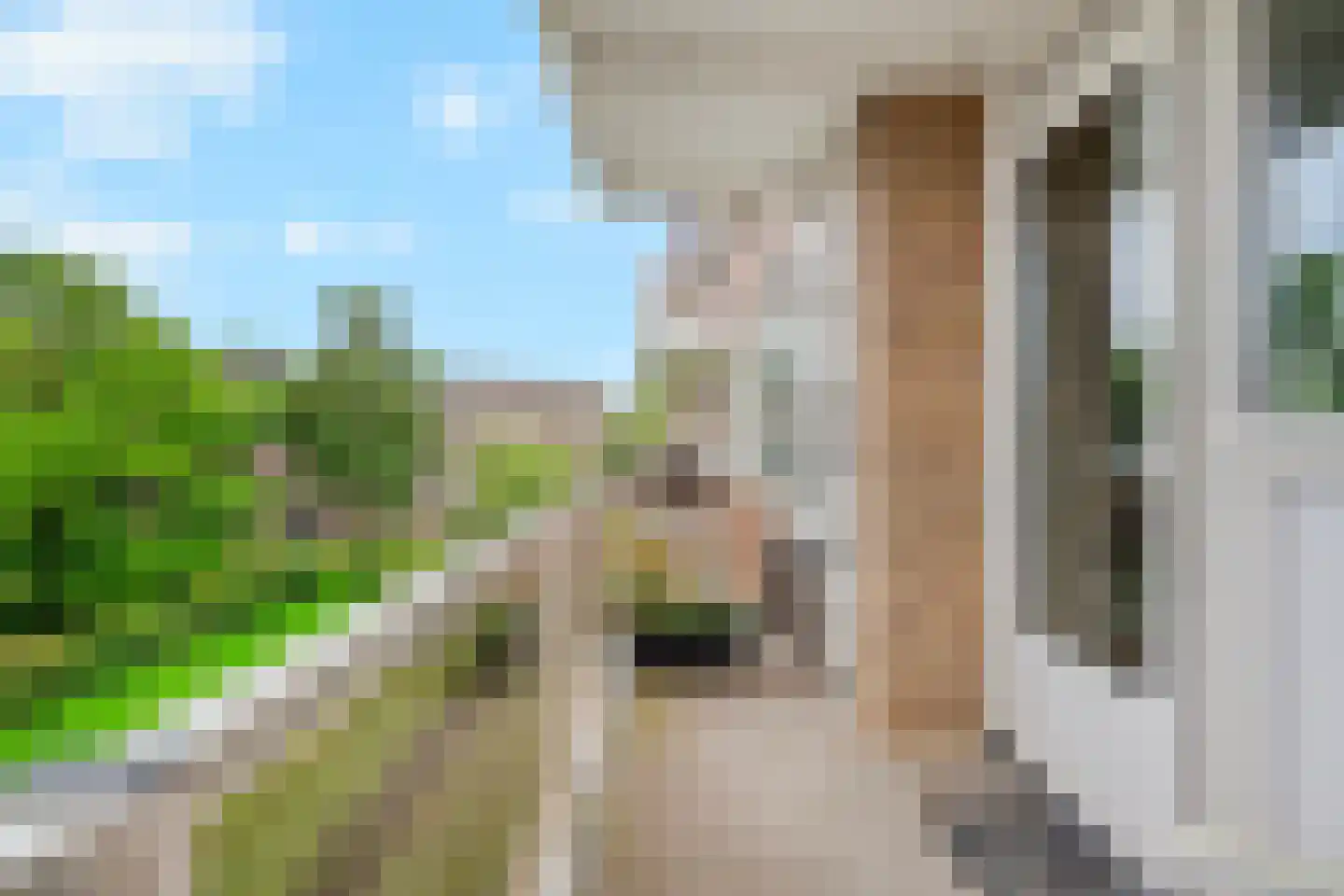 Julianaplantsoen 96 Diemen thumbnail 12