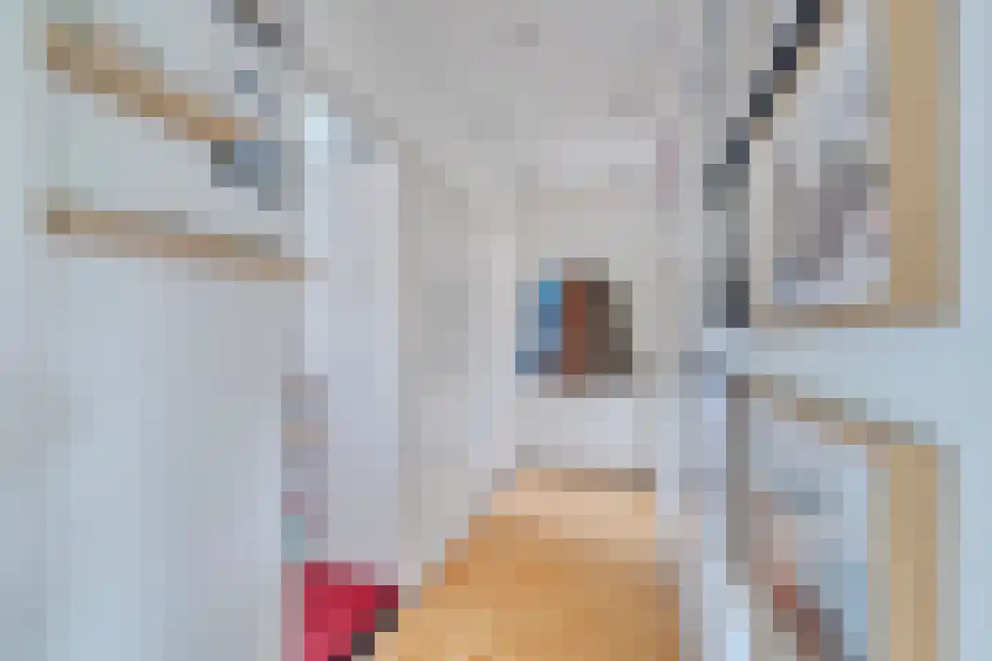 Julianaplantsoen 96 Diemen thumbnail 15