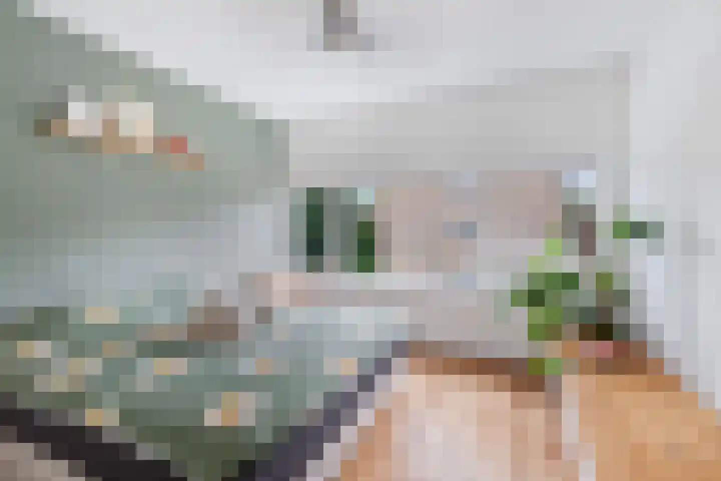 Julianaplantsoen 96 Diemen thumbnail 16