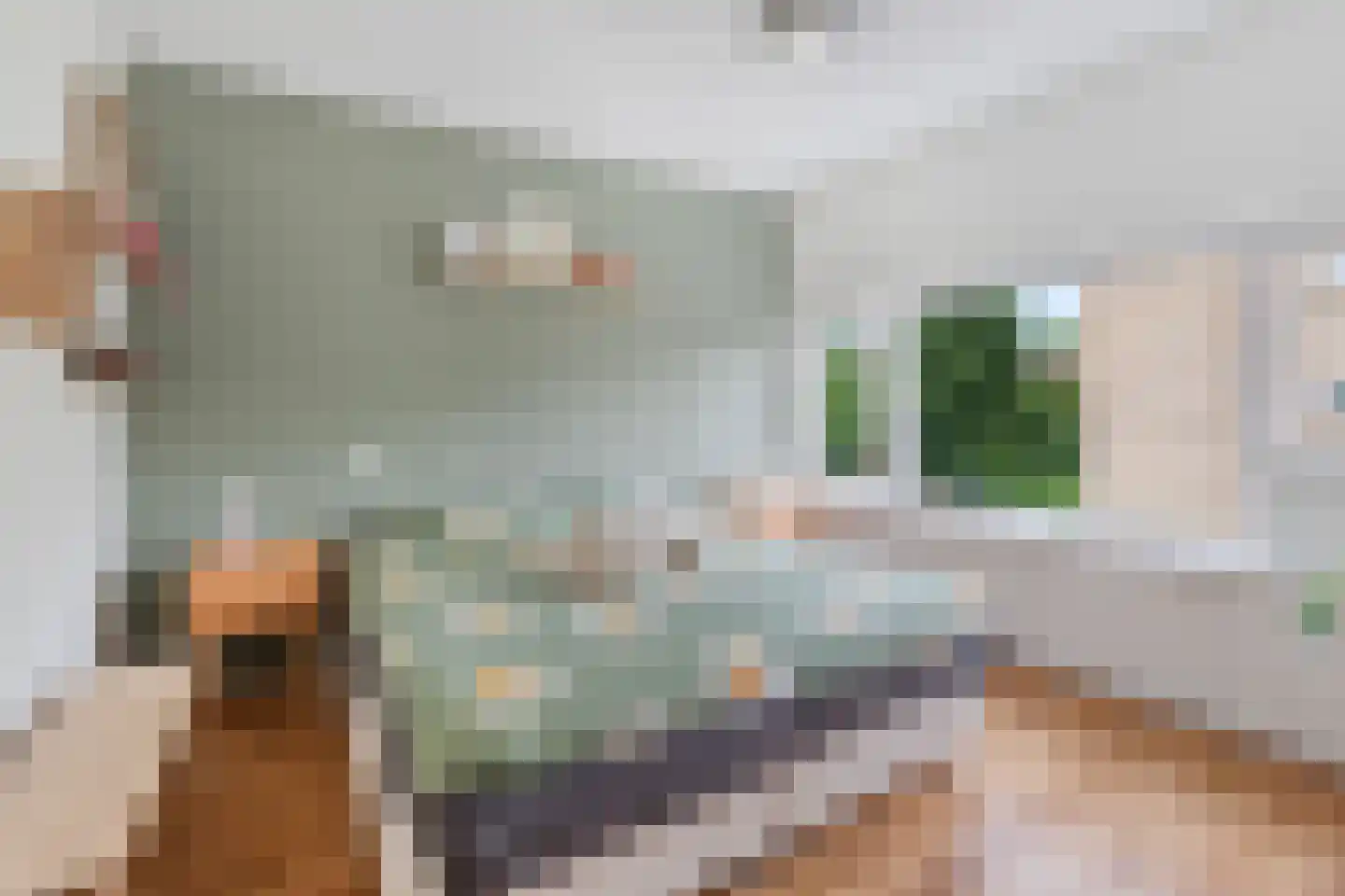 Julianaplantsoen 96 Diemen thumbnail 17