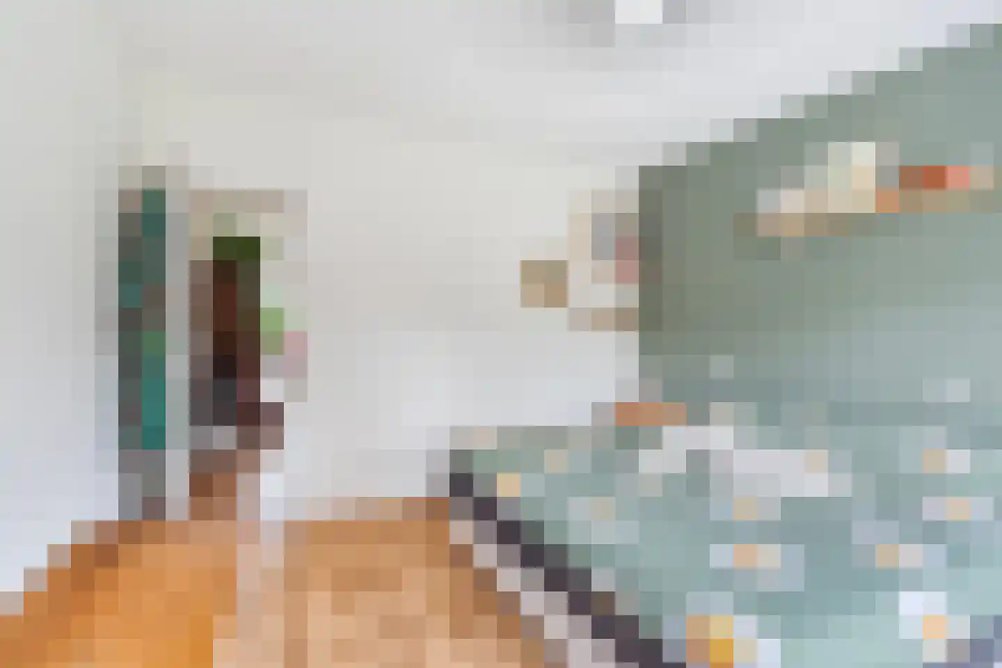 Julianaplantsoen 96 Diemen thumbnail 18