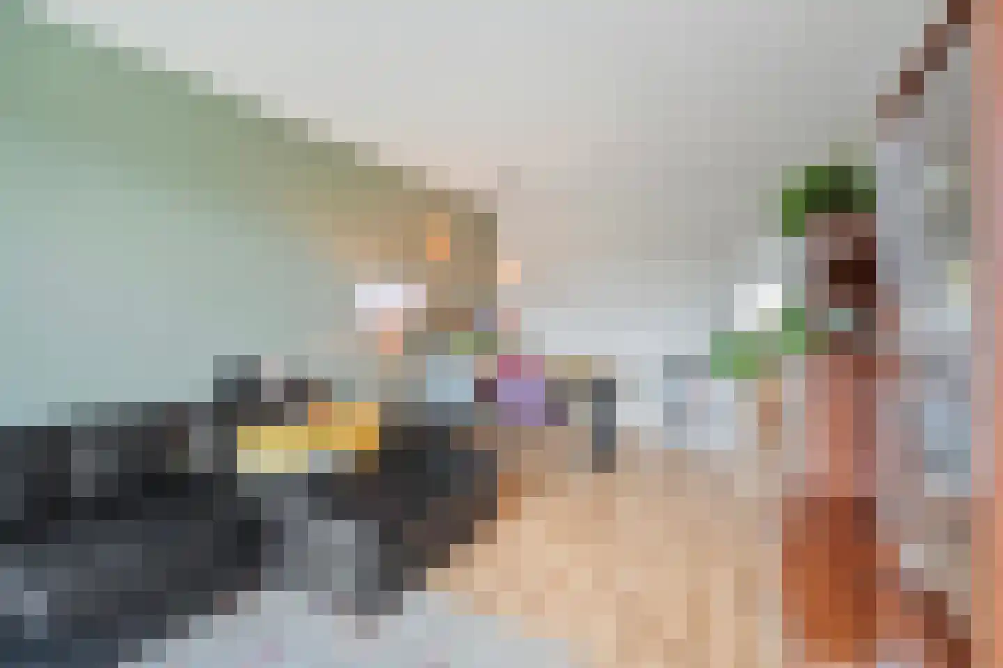 Julianaplantsoen 96 Diemen thumbnail 6