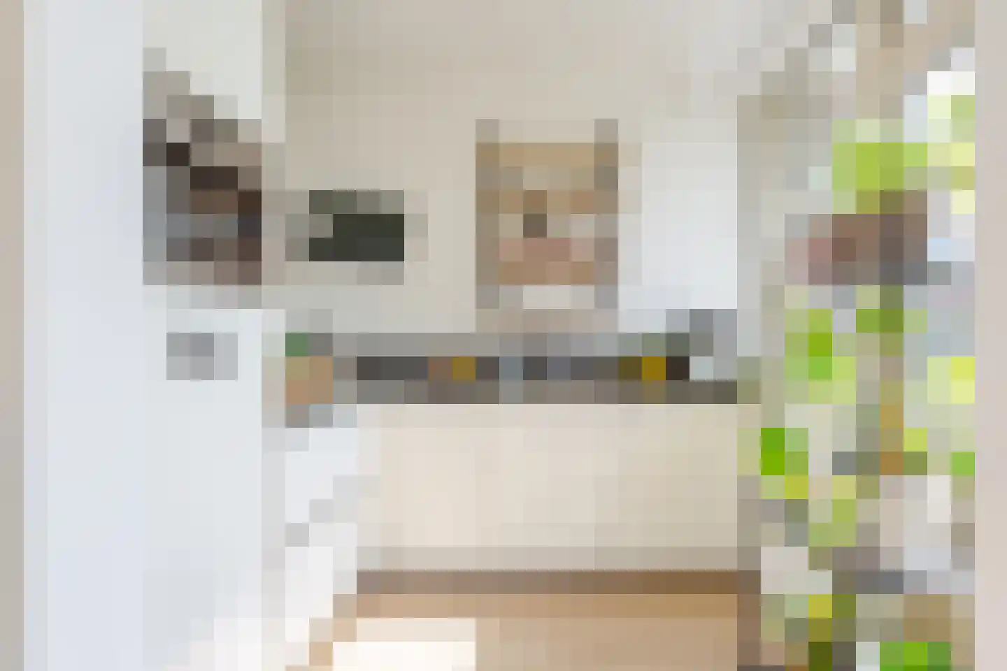 Julianaplantsoen 97 Diemen thumbnail 11