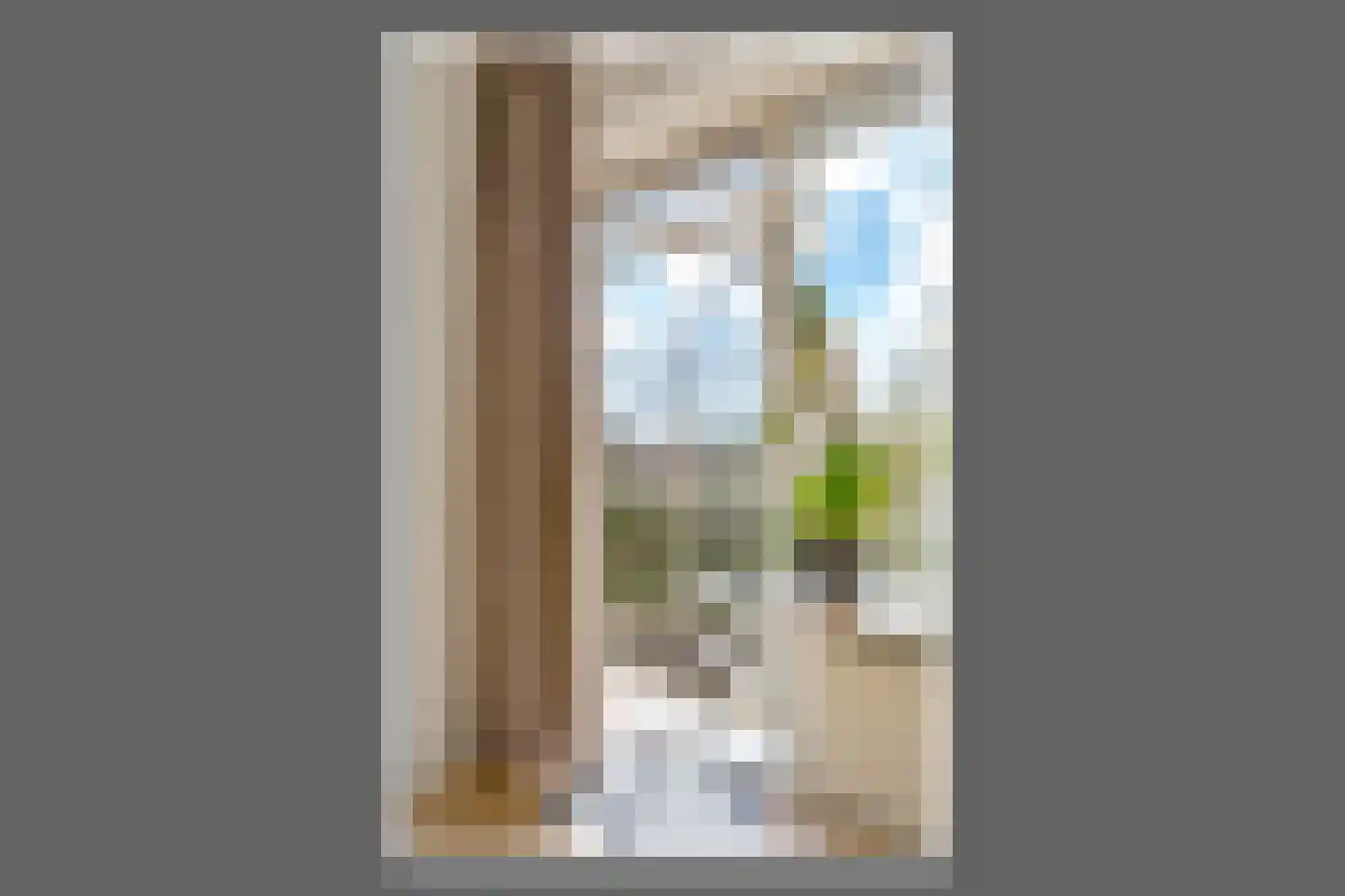 Julianaplantsoen 97 Diemen thumbnail 13
