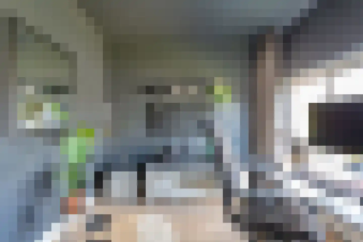 Julianaplantsoen 97 Diemen thumbnail 16