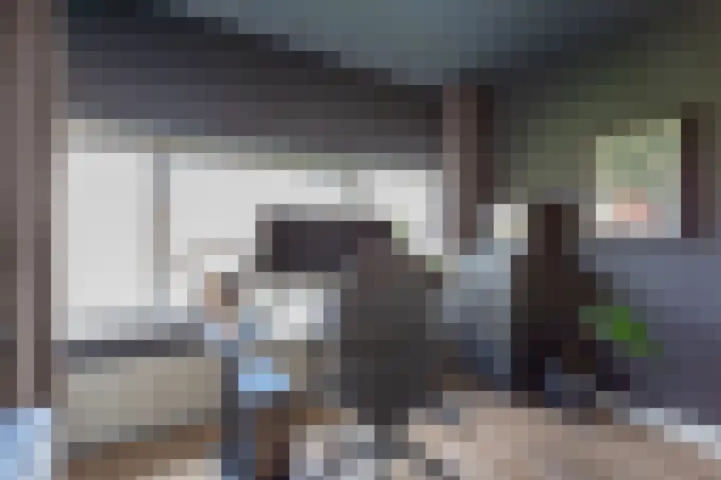 Julianaplantsoen 97 Diemen thumbnail 17