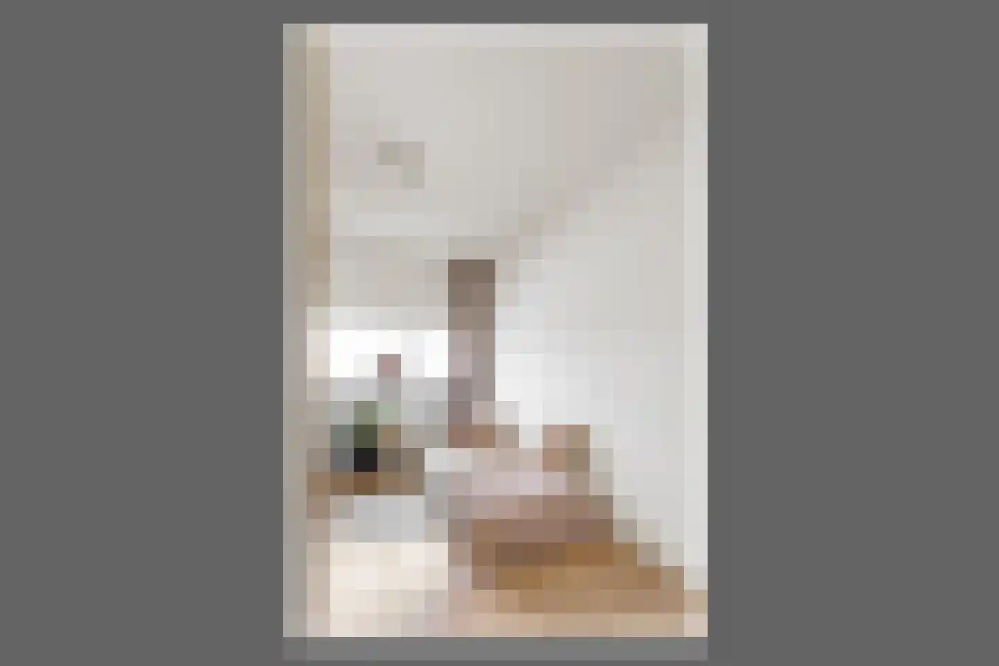 Julianaplantsoen 97 Diemen thumbnail 20