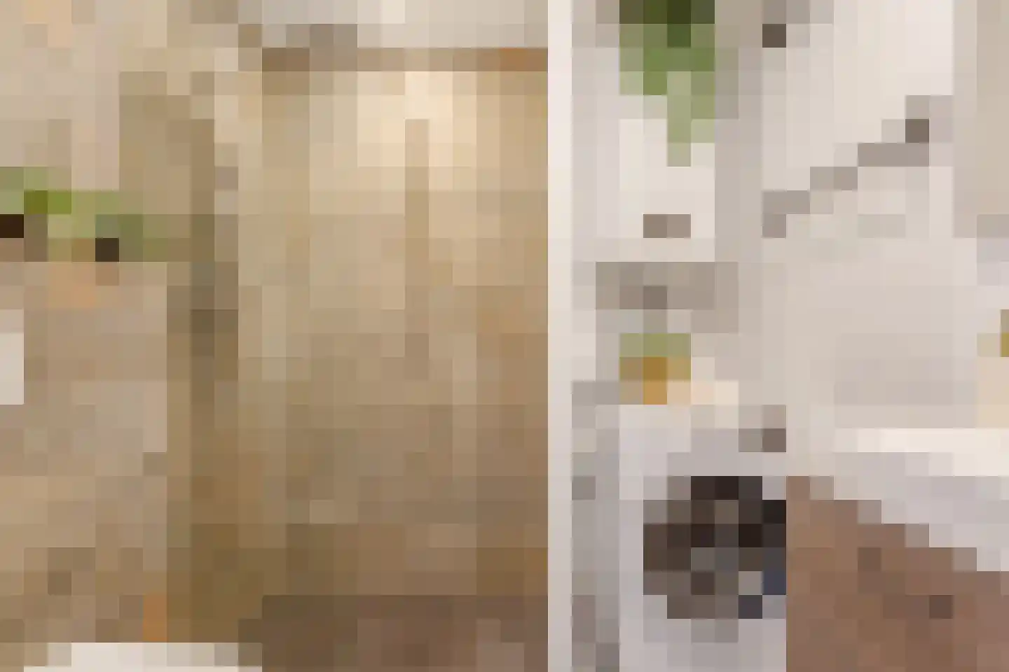 Julianaplantsoen 97 Diemen thumbnail 21