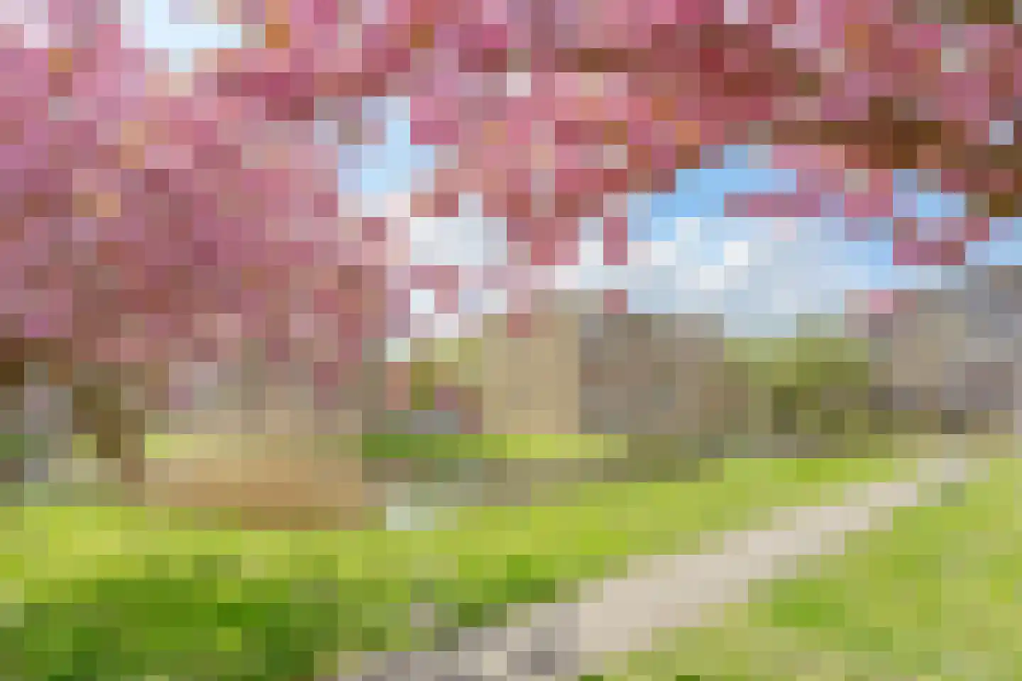 Julianaplantsoen 97 Diemen thumbnail 25