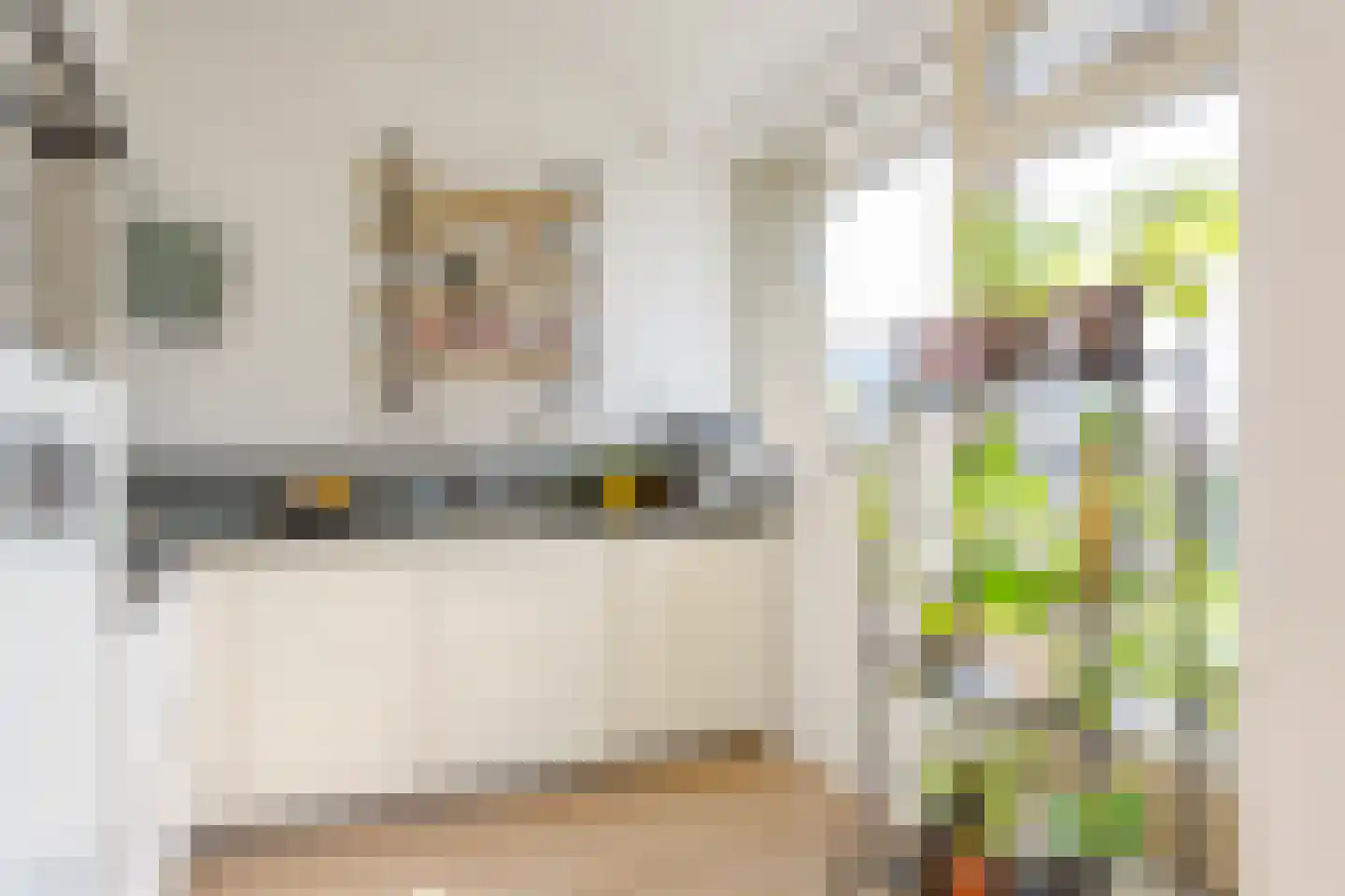 Julianaplantsoen 97 Diemen thumbnail 5