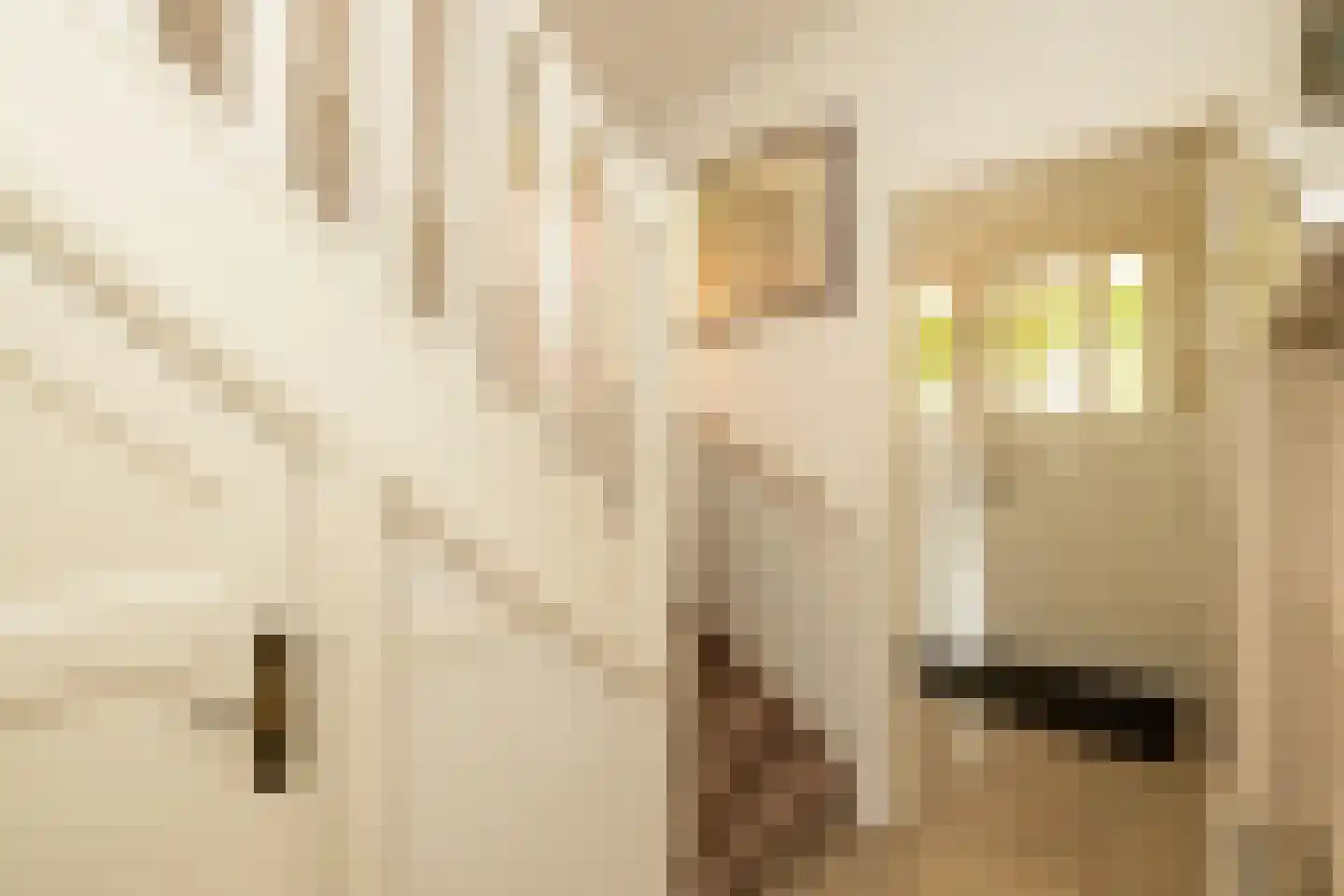 Julianaplein 1 Noordwijkerhout thumbnail 12