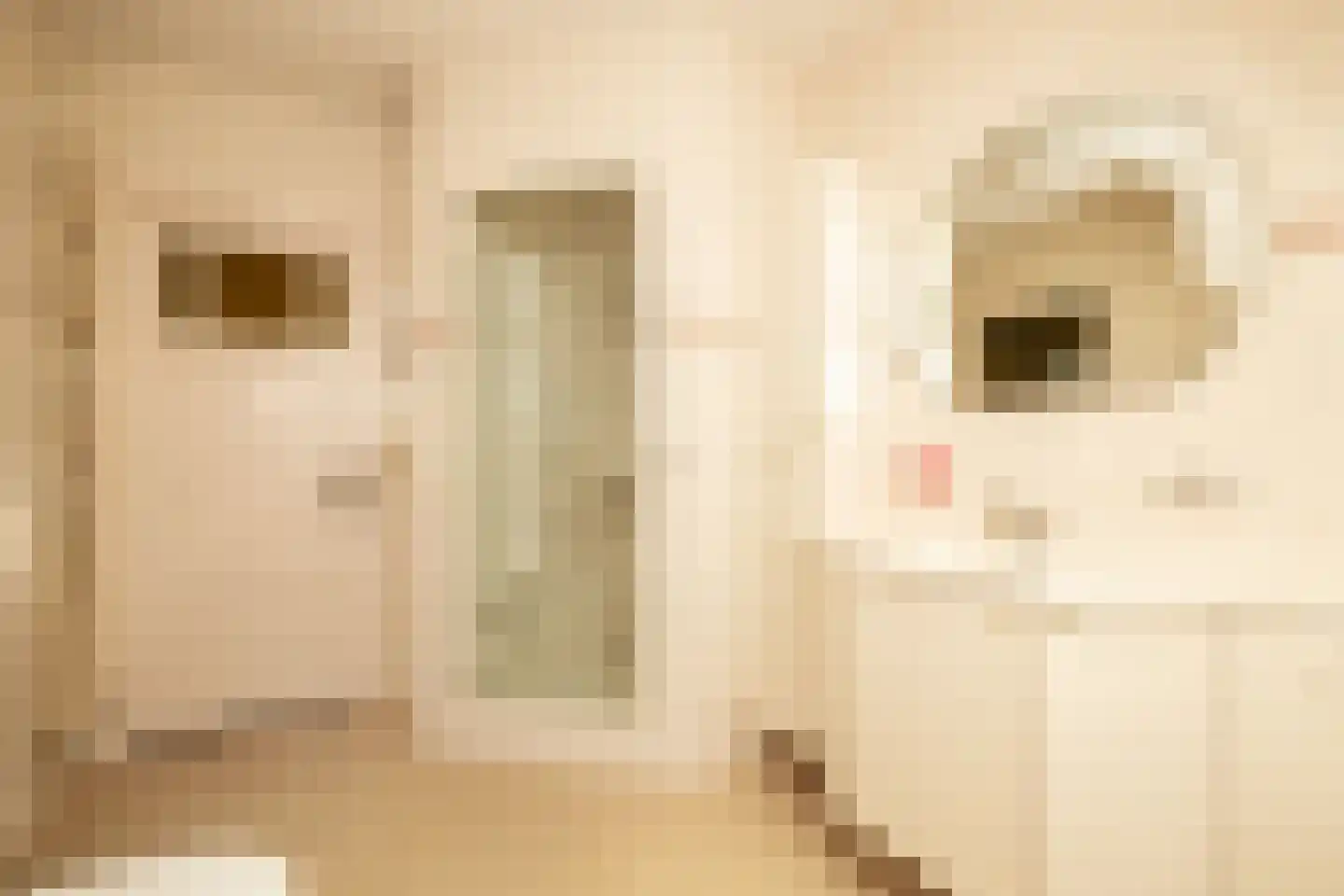Julianaplein 1 Noordwijkerhout thumbnail 17