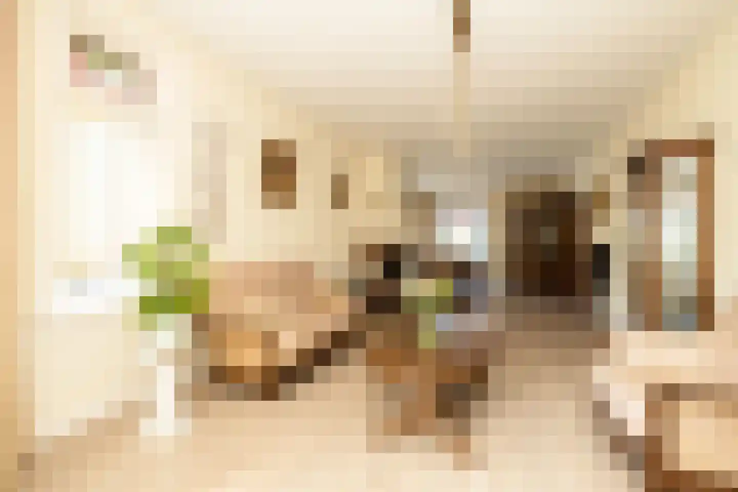 Julianaplein 1 Noordwijkerhout thumbnail 5