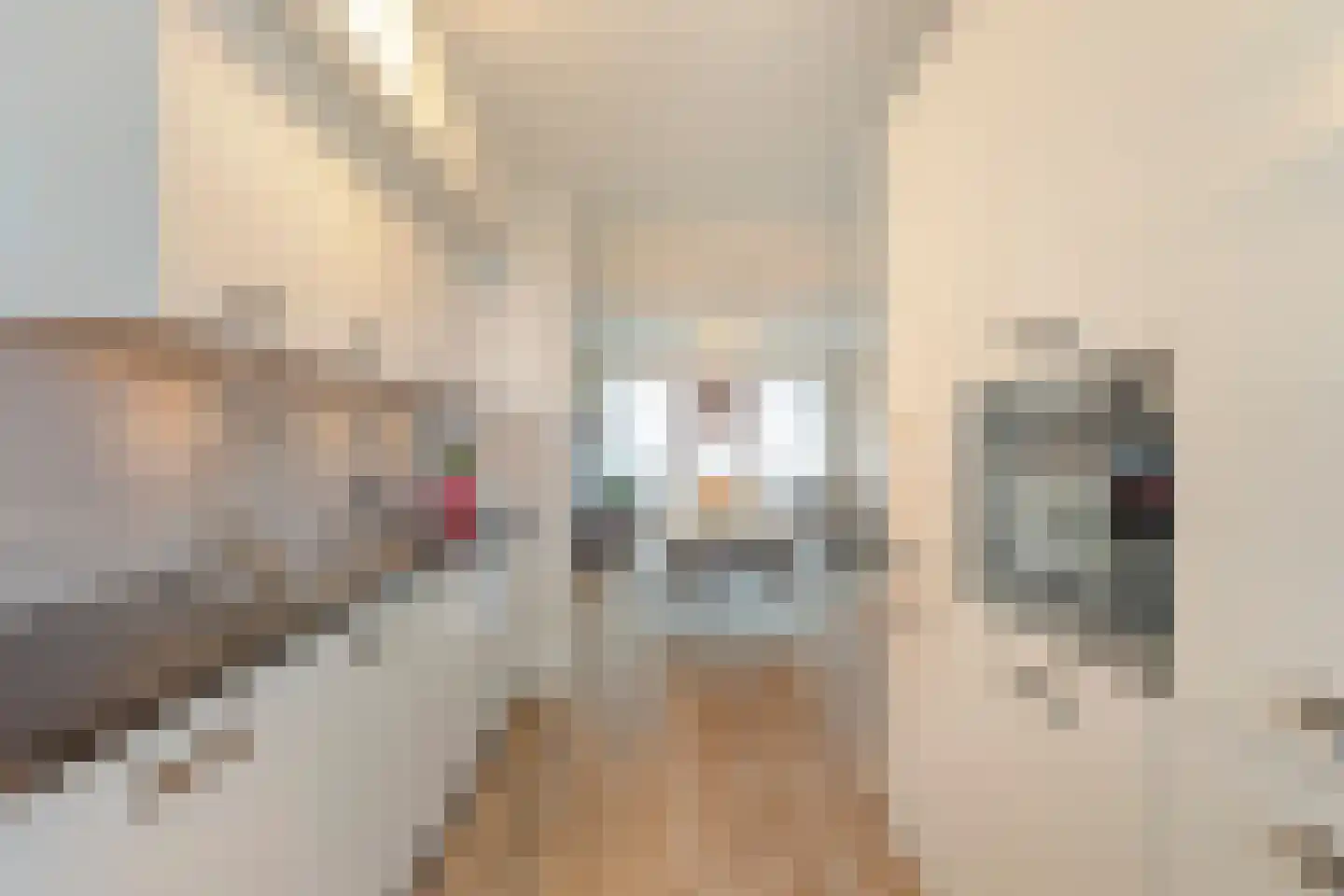 Julianaplein 100 Den Helder thumbnail 13
