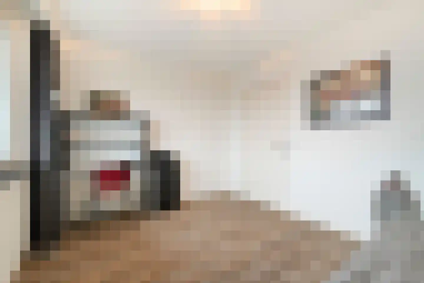 Julianaplein 100 Den Helder thumbnail 19