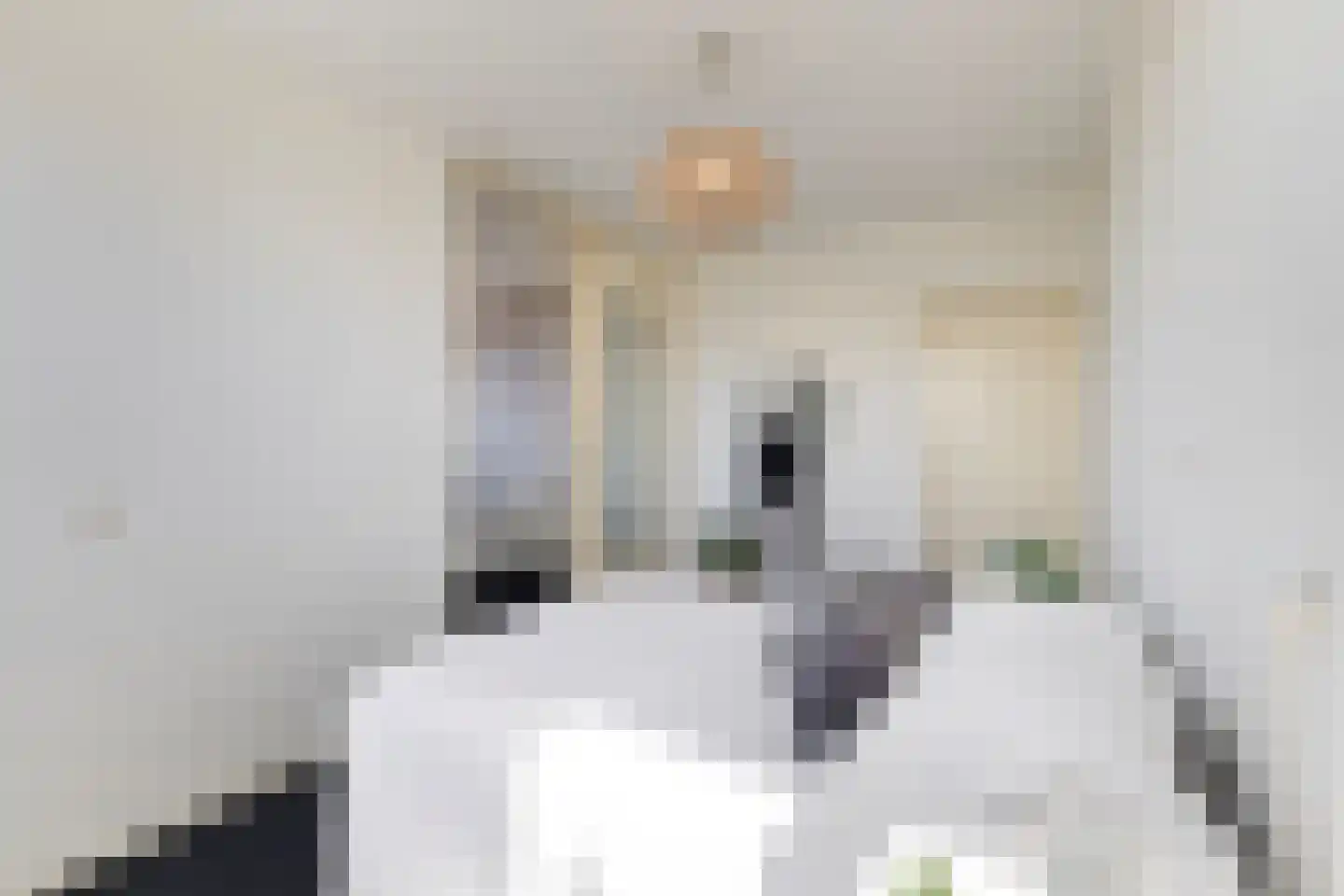 Julianaplein 112 Den Helder thumbnail 12
