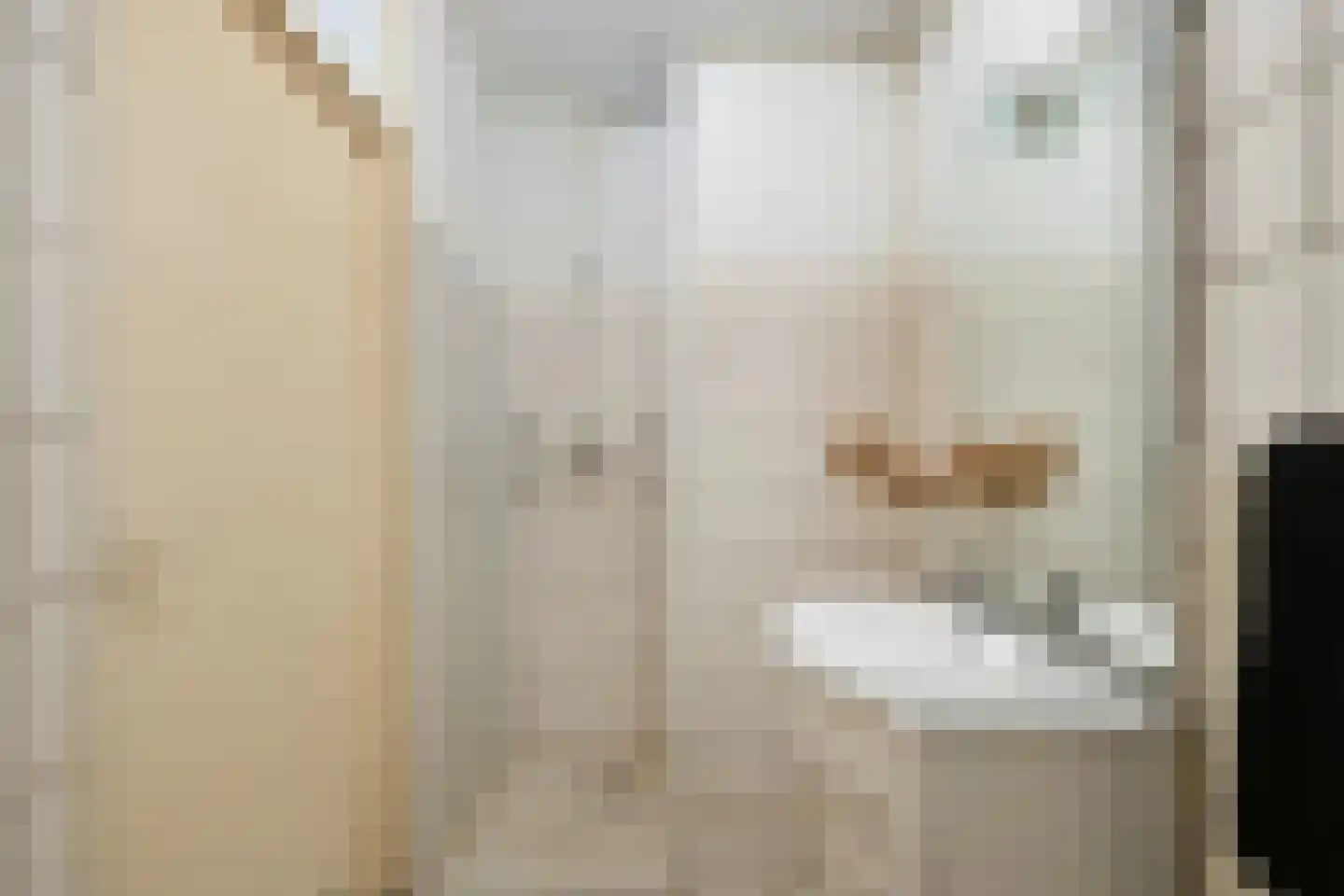 Julianaplein 112 Den Helder thumbnail 16