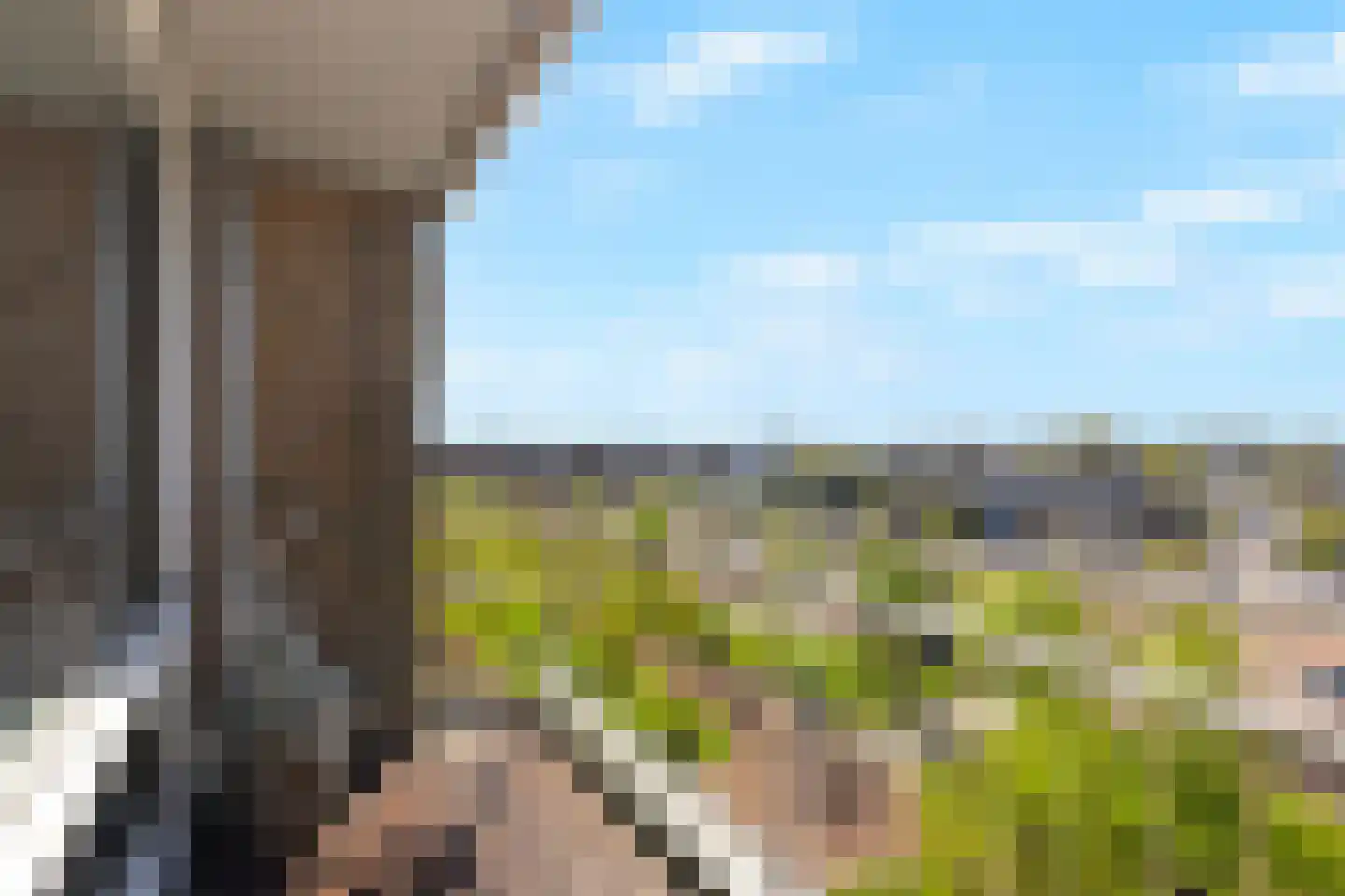 Julianaplein 112 Den Helder thumbnail 18