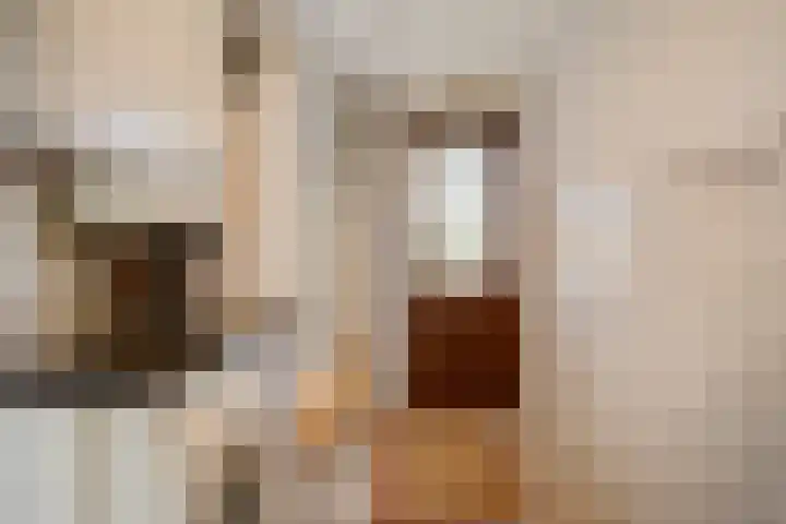 Julianaplein 12 Denekamp thumbnail 11