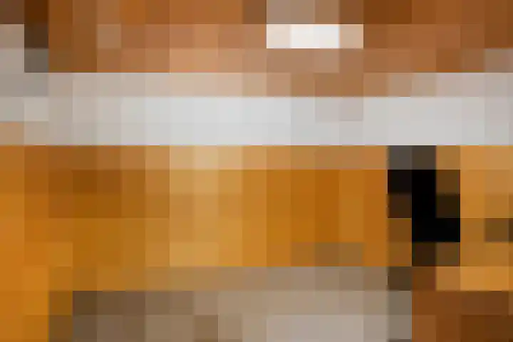 Julianaplein 12 Denekamp thumbnail 13