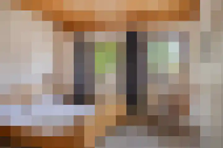 Julianaplein 12 Denekamp thumbnail 18