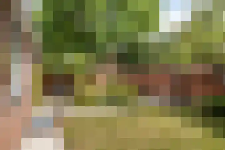 Julianaplein 12 Denekamp thumbnail 24